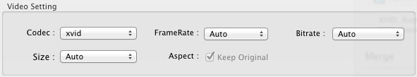 video settings of target video