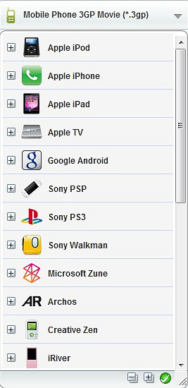 Output options of Any Video Converter