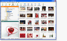 Screenshot of AnvSoft Photo Manager