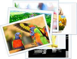 Fuuny Photo Maker