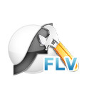 Customize web FLV player