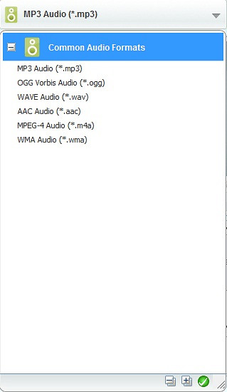 Output options of Any Audio Converter