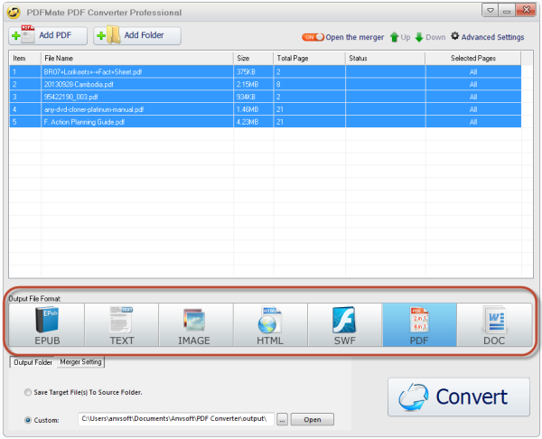 choose a desired output format